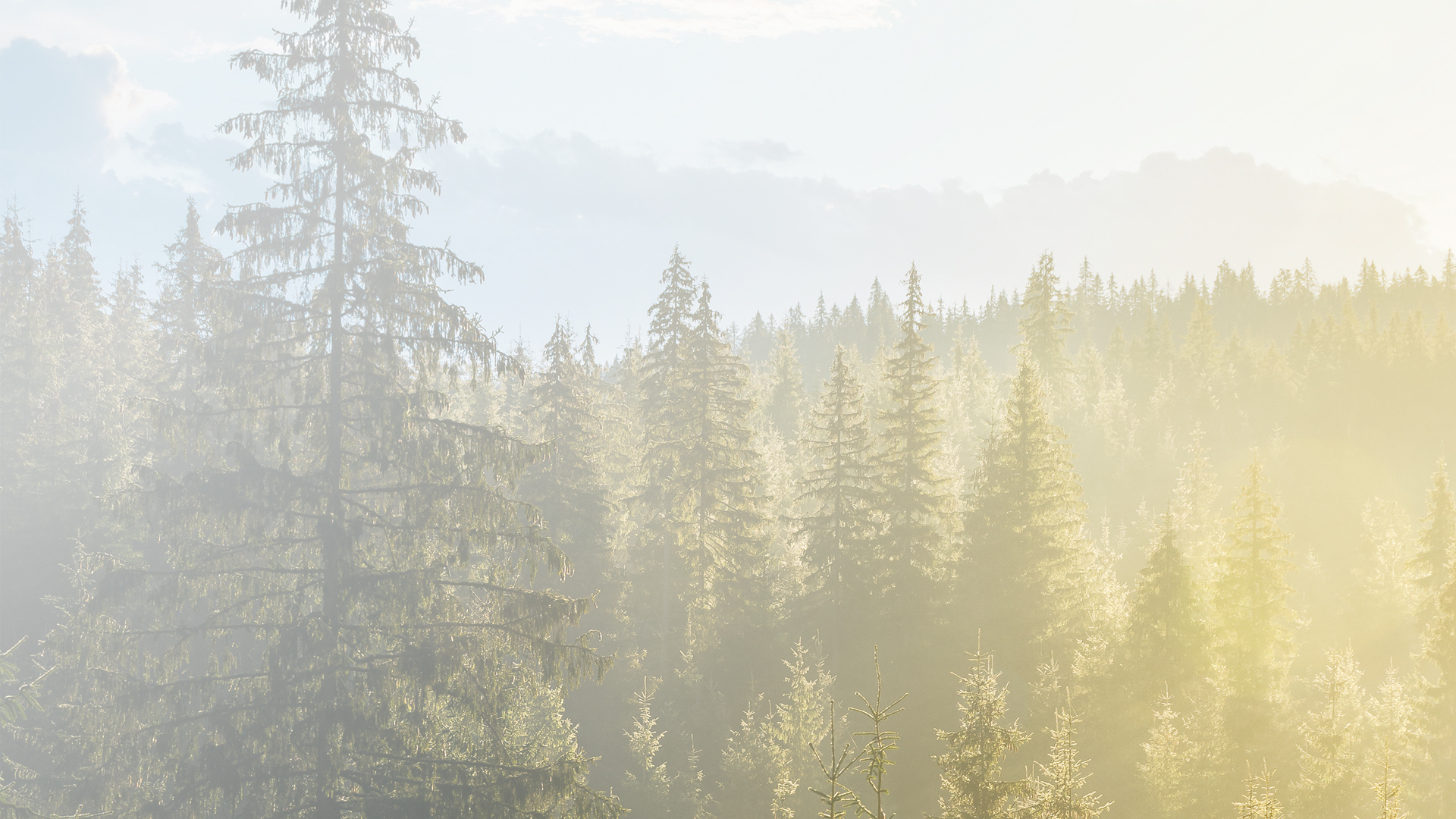 Adapting to Change. Together.