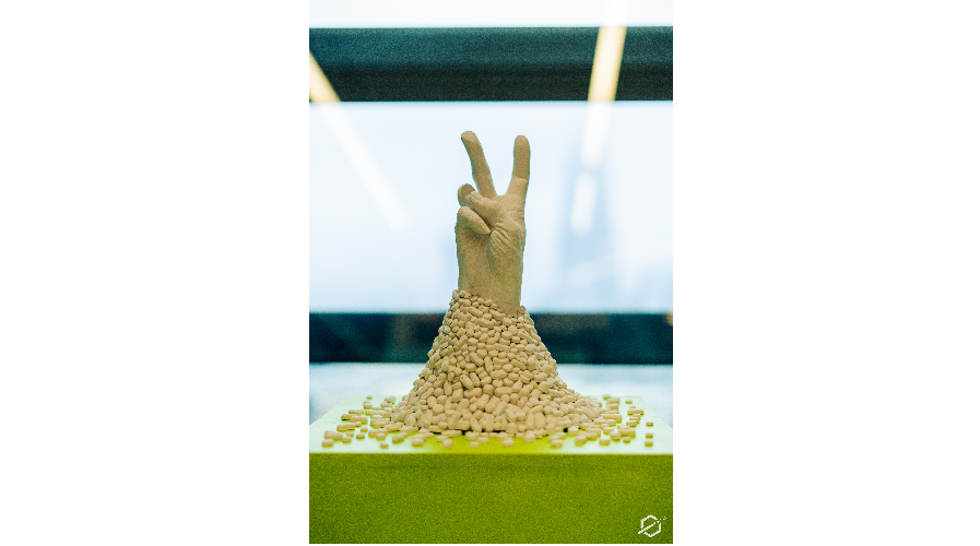 Merrie Carlton - Not Waving