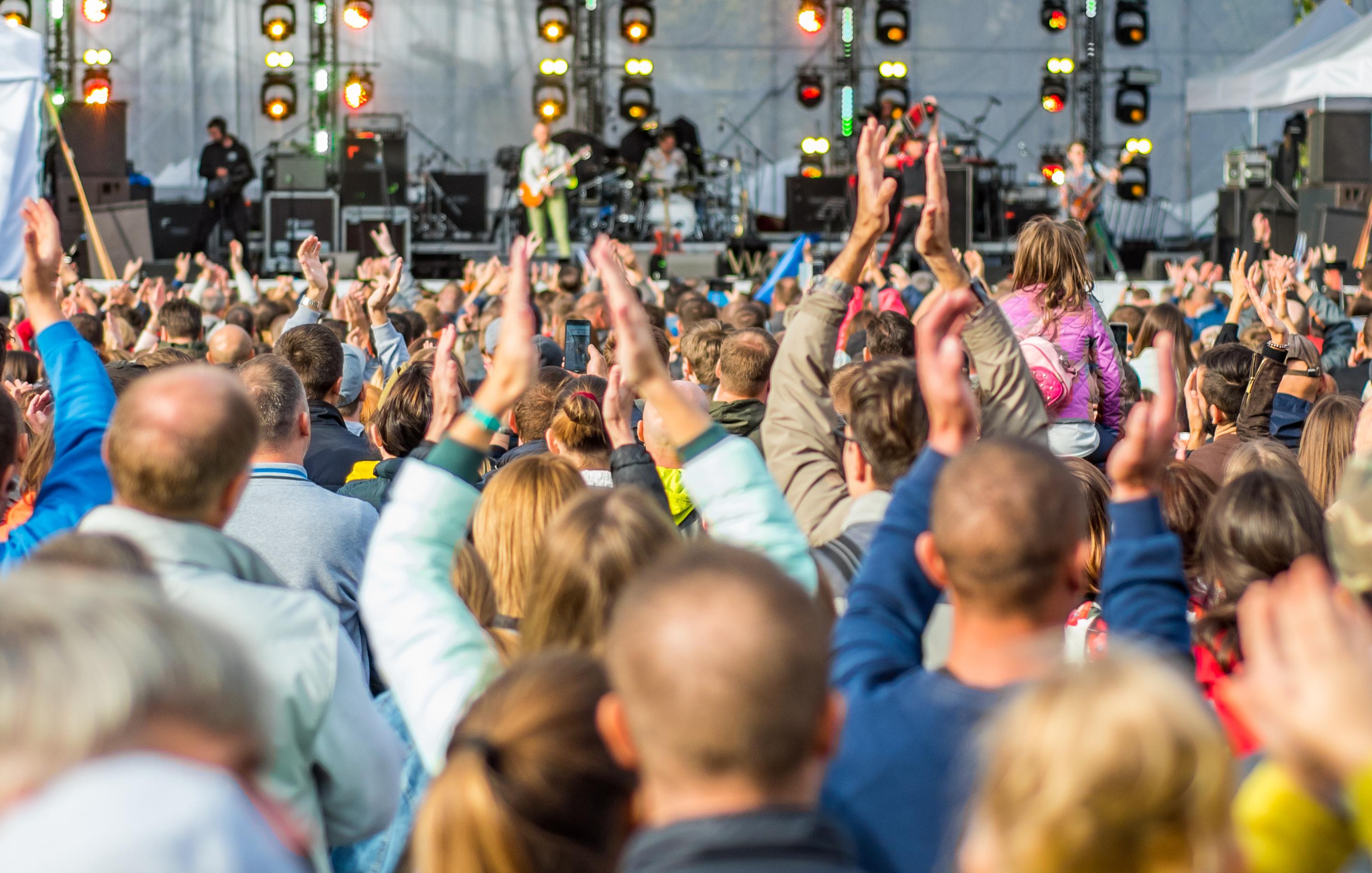 Festival Crowd