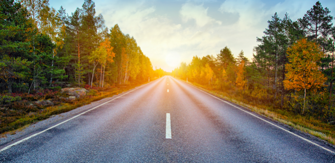 Tree lined clear road