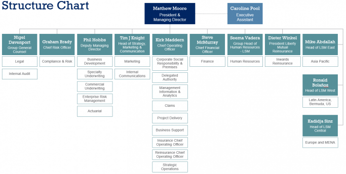 Liberty Specialty Markets - Company background