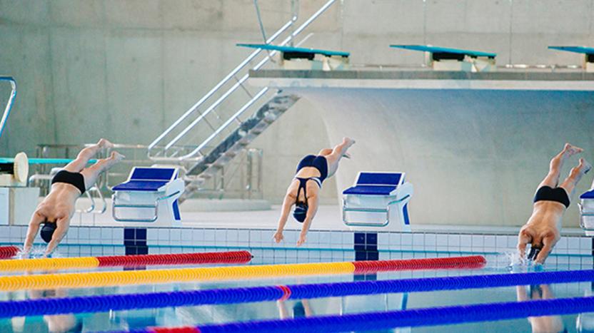 Three competitive swimmers diving off their starting blocks into the pool